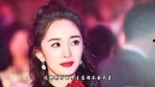 叶兰爆料视频大全集,揭秘娱乐圈幕后真相