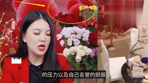 小雅明星爆料视频大全集,揭秘娱乐圈幕后真相
