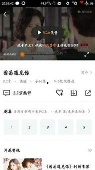 大王爆料视频大全最新