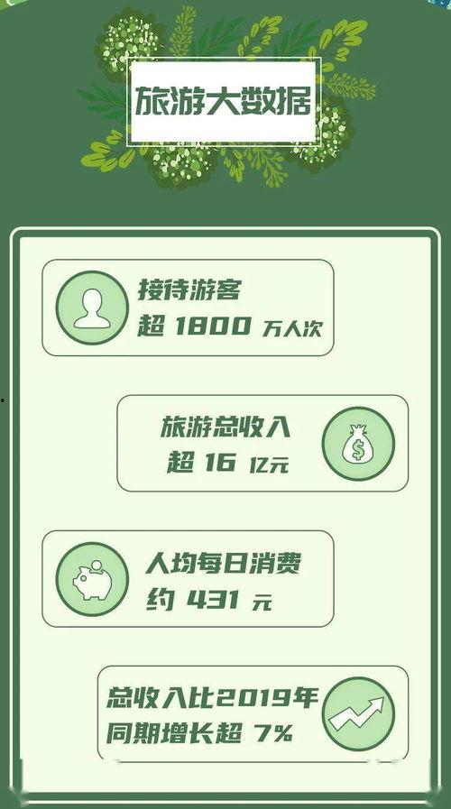 雷州爆料新闻事件最新报道,最新进展及影响深度解析