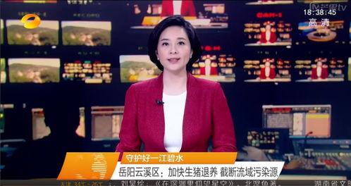 最新爆料湖南新闻联播回放,揭秘重大事件背后真相