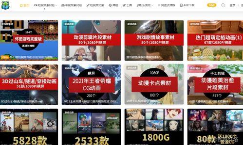 学校爆料视频素材下载,视频素材揭示学校日常风采