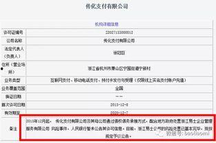爆料迷支付网最新的,迷支付网全新功能引领支付革命