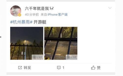 杭州视频爆料,揭秘城市生活背后的故事