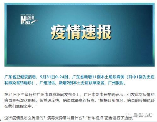 布鲁可第11代最新爆料,颠覆性升级，引领智能玩具新潮流”