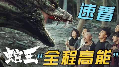 蛇王 在线观看,在线揭秘神秘蛇界传奇