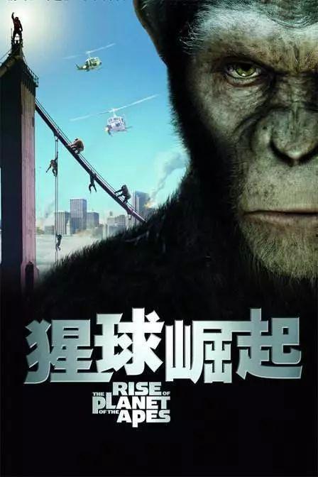 猩球崛起1在线观看免费,自由之战——探寻人类与猿类共存世界的序章