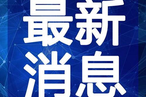天牛哥最新爆料视频,揭秘视频背后的惊人真相！