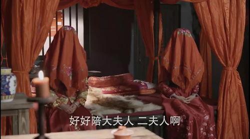 四月压寨夫人爆料视频在线观看,揭秘神秘事件背后的真相