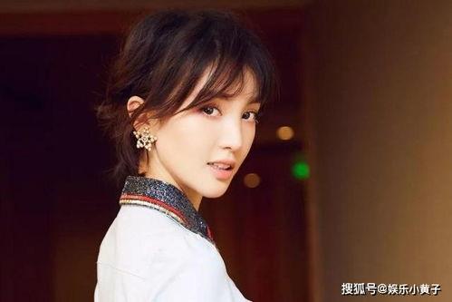 娱乐圈业内爆料赵昭仪,揭秘幕后真相与行业内幕