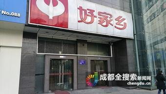 成都爆料新闻,揭秘城市热点事件背后的真相