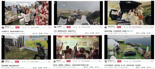中山网红大爆料新闻视频,揭秘背后惊人真相！