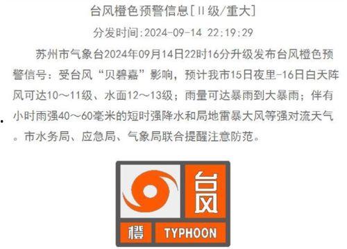 四川爆料最新消息新闻事件,惊曝重大事件引发社会关注