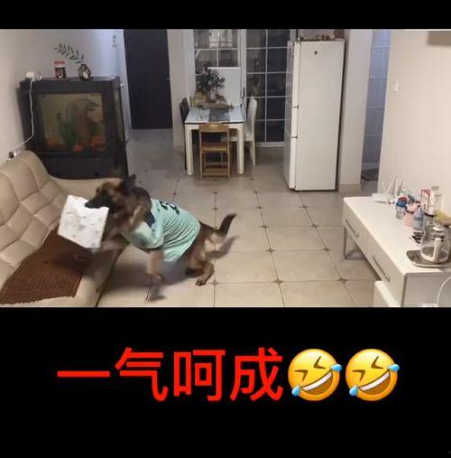 网红糯米被爆料视频,真相究竟如何？