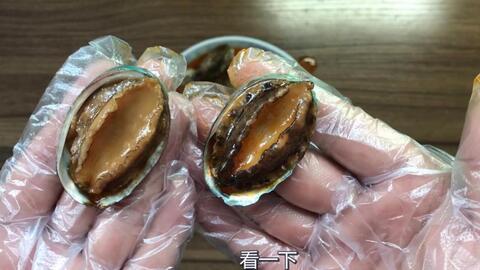 鲍鱼最新爆料图片,神秘图片揭示惊人内幕