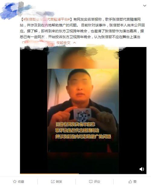 天涯真实爆料沈南鹏视频,天涯爆料视频背后的真实故事