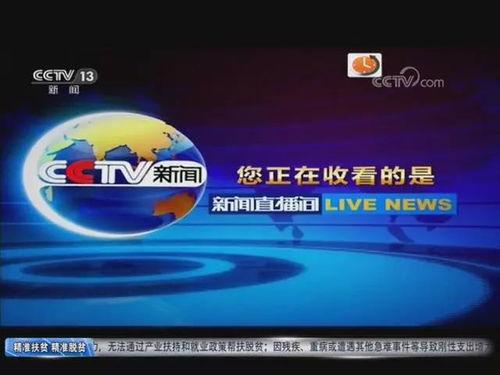 今日内江爆料新闻直播回放,直播回放揭示惊人事件