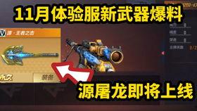 cf手游体验服5周年最新爆料,体验服全新爆料，精彩内容抢先看！