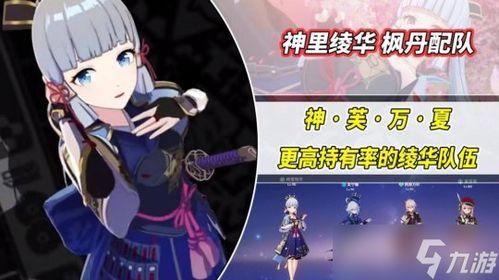 枫丹角色仆人爆料视频,揭秘神秘角色背后的秘密与故事