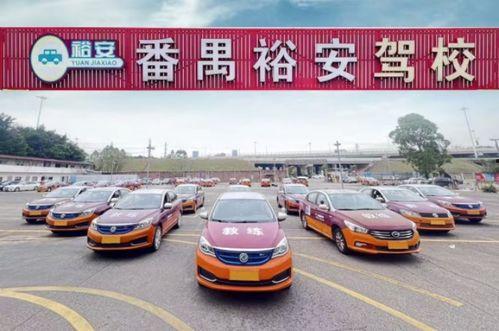 重庆学车爆料新闻视频大全,揭秘学车行业背后的真相与趣闻