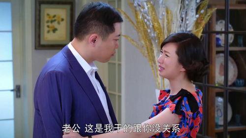 媳妇电视剧在线观看,温馨家庭生活全景展现