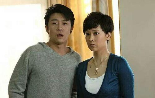 媳妇电视剧在线观看,温馨家庭生活全景展现