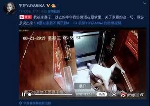 网红被爆料家暴事件视频,家庭暴力事件引发社会关注
