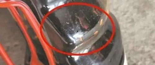 李先生爆料最新视频,最新视频揭秘惊人内幕