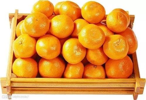 娱乐吃瓜橘子精