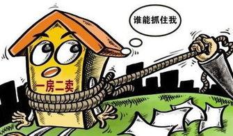 河南郑州房东最新爆料事件,揭秘租房市场乱象背后的真相