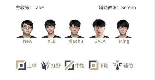 手游lpl最新爆料,神秘英雄登场，战局风云再起！