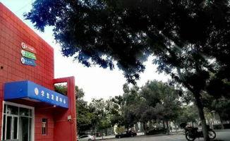 西北师范大学爆料新闻,揭秘校园内幕事件