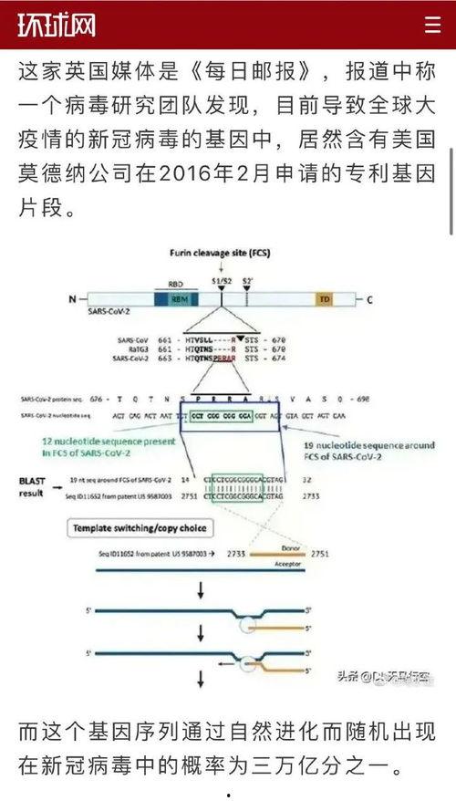 英国病毒爆料视频大全集,视频大全集深度解析