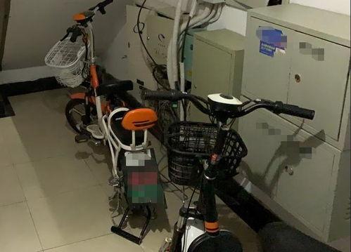 南京电动车事件最新爆料,真相再起波澜，疑云重重待解