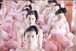 奸臣在线观看完整版,权谋巅峰，揭秘宫廷秘辛