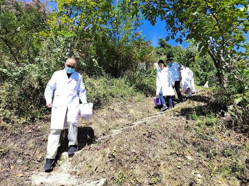 巫山最爆料新闻官阳镇,阳镇新闻热点盘点，揭秘幕后故事