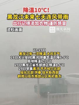 近期热瓜爆料新闻报道,近期新闻焦点深度解析