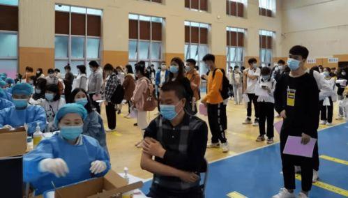 天光游乐场最新爆料消息,神秘新项目即将震撼登场！