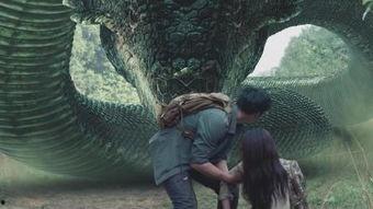 《巨蟒》2在线观看,奇幻冒险再续传奇