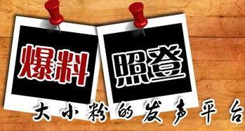 本地新闻爆料,揭秘社区热点事件背后的真相