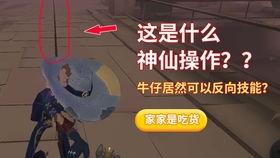 牛仔技能爆料怎么用视频,视频教程带你轻松掌握牛仔风潮