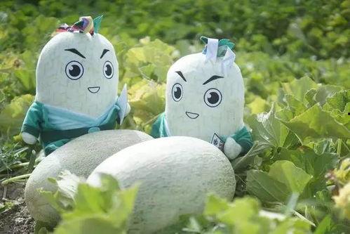 网红驯鹿吃瓜是真的吗,真相揭秘