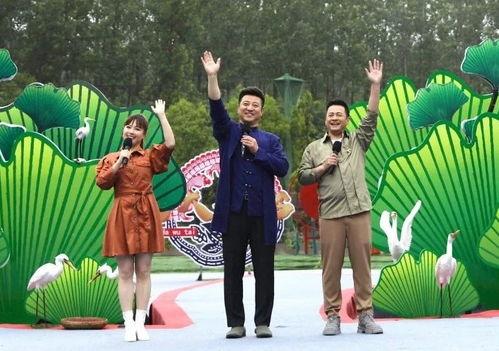 太阳姐姐爆料视频大全最新,揭秘娱乐圈幕后真相