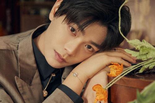 最新爆料丁禹兮拍什么剧,神秘角色引期待