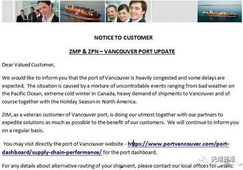 海关最新爆料,跨境贸易新规与风险预警