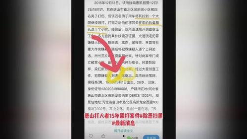 唐山市最新爆料消息新闻,重大新闻事件深度解析