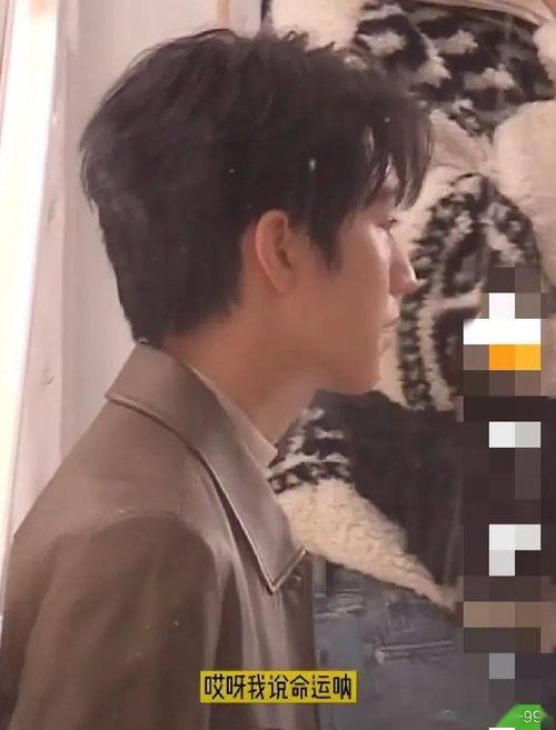 王俊凯狗仔爆料视频,揭秘明星私生活瞬间