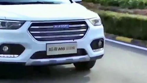 最新爆料越野车视频播放,极限挑战下的速度与激情