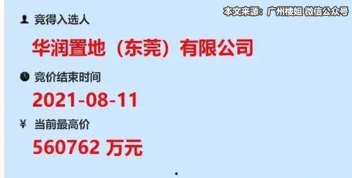 东莞国贸爆料最新消息,揭秘项目进展与市场动态
