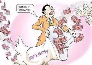 河北爆料诈骗案件最新,揭秘连环骗局，受害者血本无归！